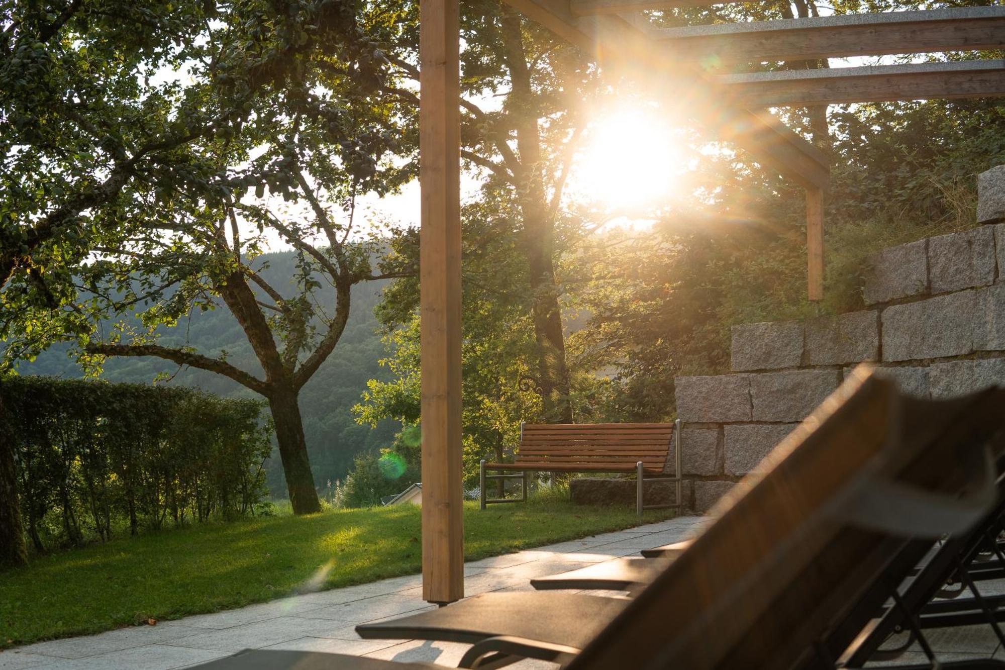 Elzland Hotel Pfauen Wellness & Spa Elzach Exterior photo